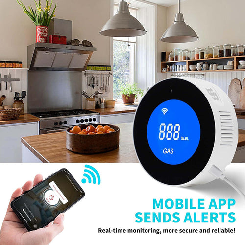 Solvivo · Rilevatore di Gas Wi-Fi smart sensore allarme · App Alexa Google – dettaglio 2